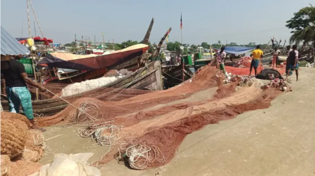 মধ্যরাত থেকে ইলিশ ধরার ওপর ২২ দিনের নিষেধাজ্ঞা, ঘাটে ফিরছেন উপকূলের জেলেরা