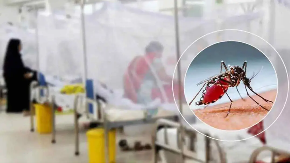 প্রধান উপদেষ্টার সঙ্গে জামায়াতের সাক্ষাতের সময় পরিবর্তন